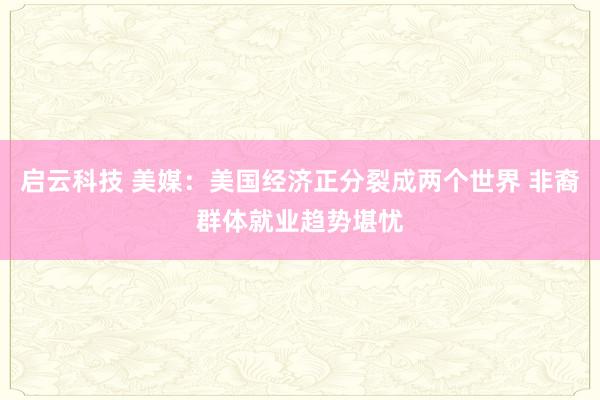 启云科技 美媒：美国经济正分裂成两个世界 非裔群体就业趋势堪忧