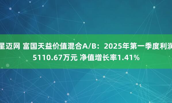 星迈网 富国天益价值混合A/B：2025年第一季度利润5110.67万元 净值增长率1.41%
