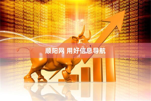 顺阳网 用好信息导航
