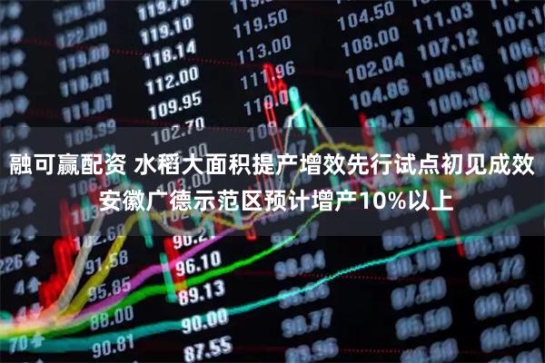 融可赢配资 水稻大面积提产增效先行试点初见成效 安徽广德示范区预计增产10%以上